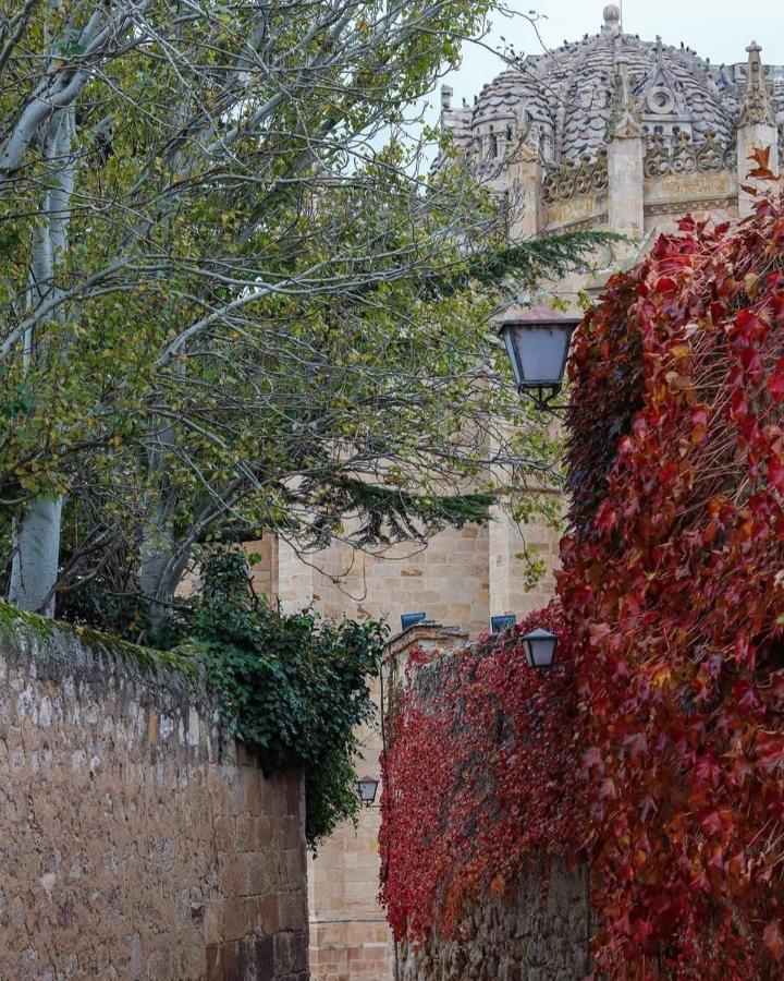 A Los Ojos Del Rio Duero 사모라 외부 사진